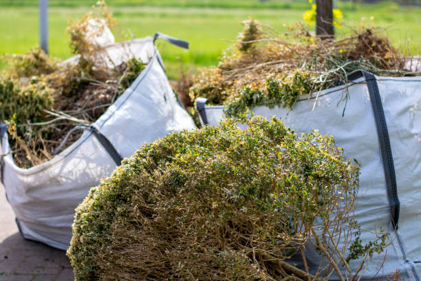 Best Professional Junk Removal  in Neffs, OH